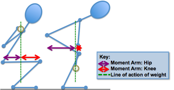 <p>Explain why person 1 has a greater mechanical advantage </p>