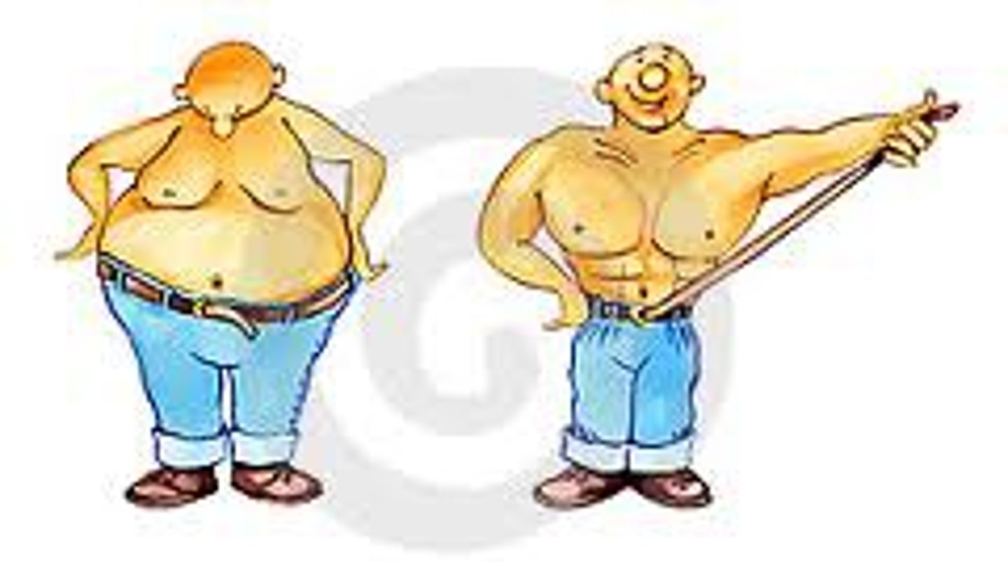 <p>to lose weight</p>