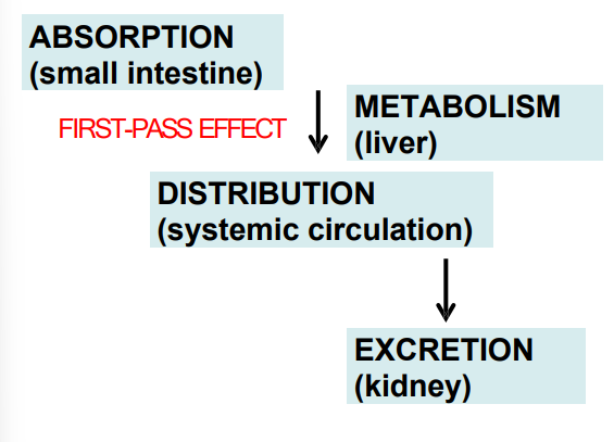 <ul><li><p>a significant proportion of a drug is m<strong>etabolized by hepatic enzymes</strong> during the initial trip t<strong>hrough the liver </strong></p></li><li><p>Drug removal by the liver <strong>after absorption</strong></p></li></ul><p></p>