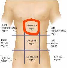 <p>Immediately superior to the umbilical region; overlies most of the stomach. </p>