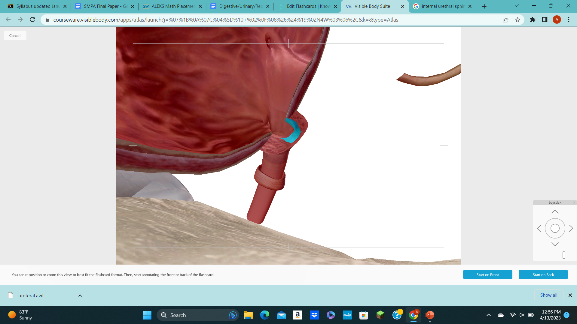 knowt flashcard image