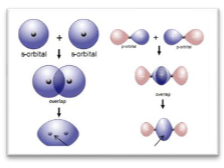 <p>Consider the figure below. Which of the following statements is true?<br>I. Two s orbitals overlap to produce a sigma bond<br>II. Two s orbitals overlap to produce a pi bond<br>III. Two p orbitals overlap end-to-end to produce a sigma bond<br>IV. Two p orbitals overlap side-by-side to produce a pi bond<br>A. I and III<br>B. II and IV<br>C. I only<br>D. IV only</p>