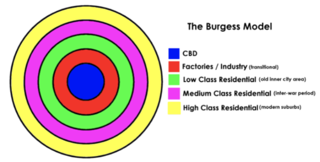 <p>A land use model that divides urban areas into 5 zones:</p><p>- Central business district (CBD)</p><p>- Manufacturing zone</p><p>- Lower class residential zone </p><p>- Middle class residential zone</p><p>- Upper class residential zone</p>