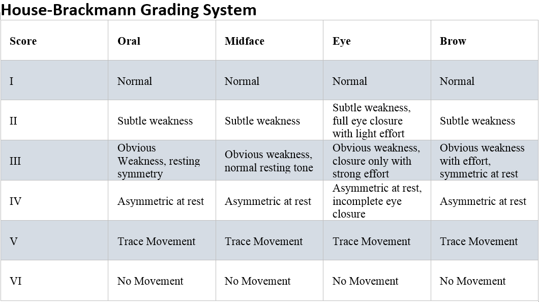 <p>Classification de House &amp; Brackmann</p>