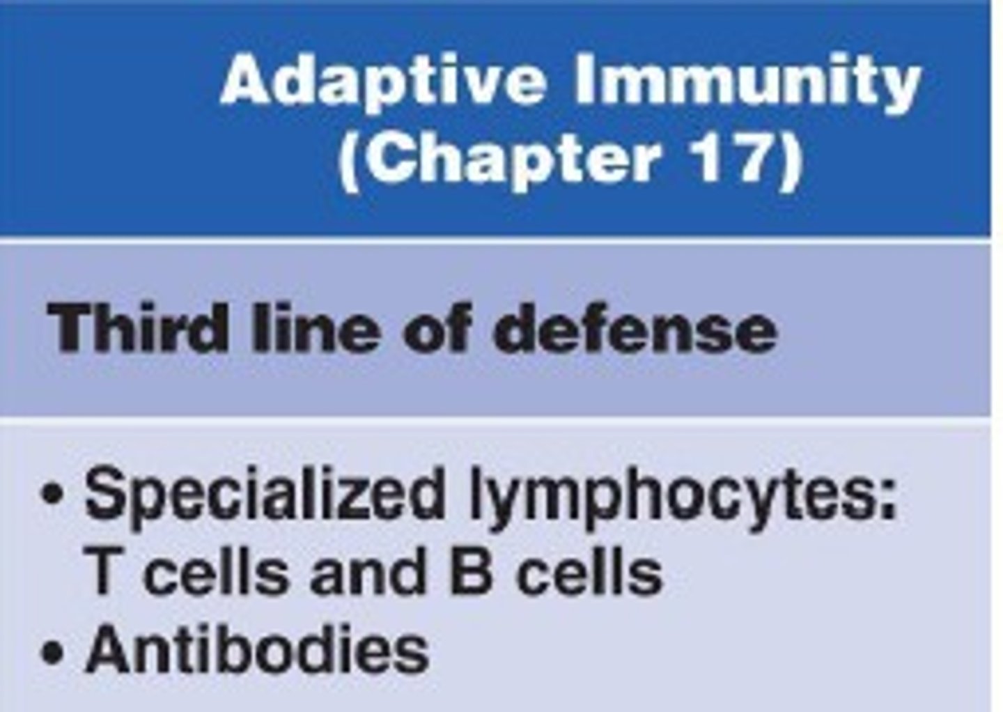 <p>adaptive response that occurs later after encountering pathogen.</p>