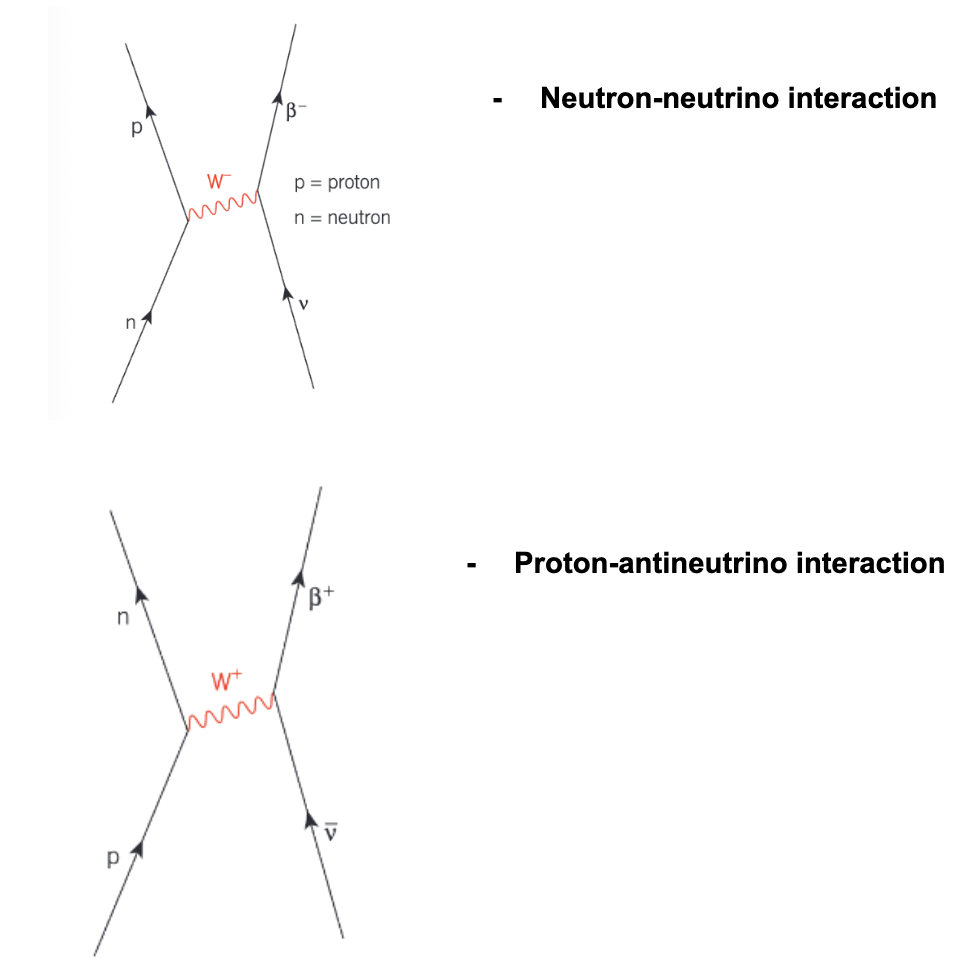 <p>represents particle interactions</p><ul><li><p>Charge must be conserved at each vertex</p></li></ul><p></p>