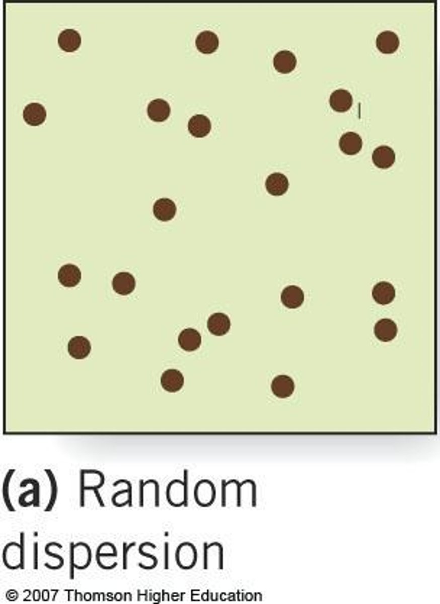 <p>Individuals' positions are independent of each other.</p>
