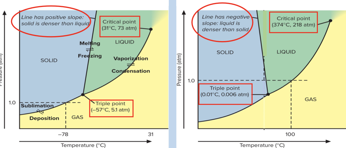 <p>Which is phase diagram for water</p>