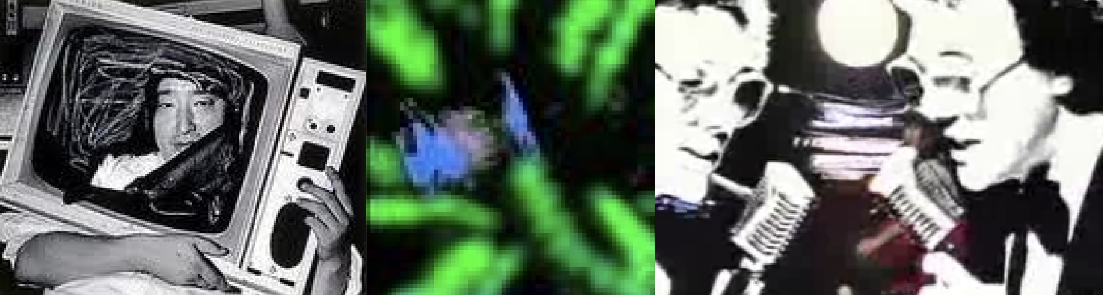 term image