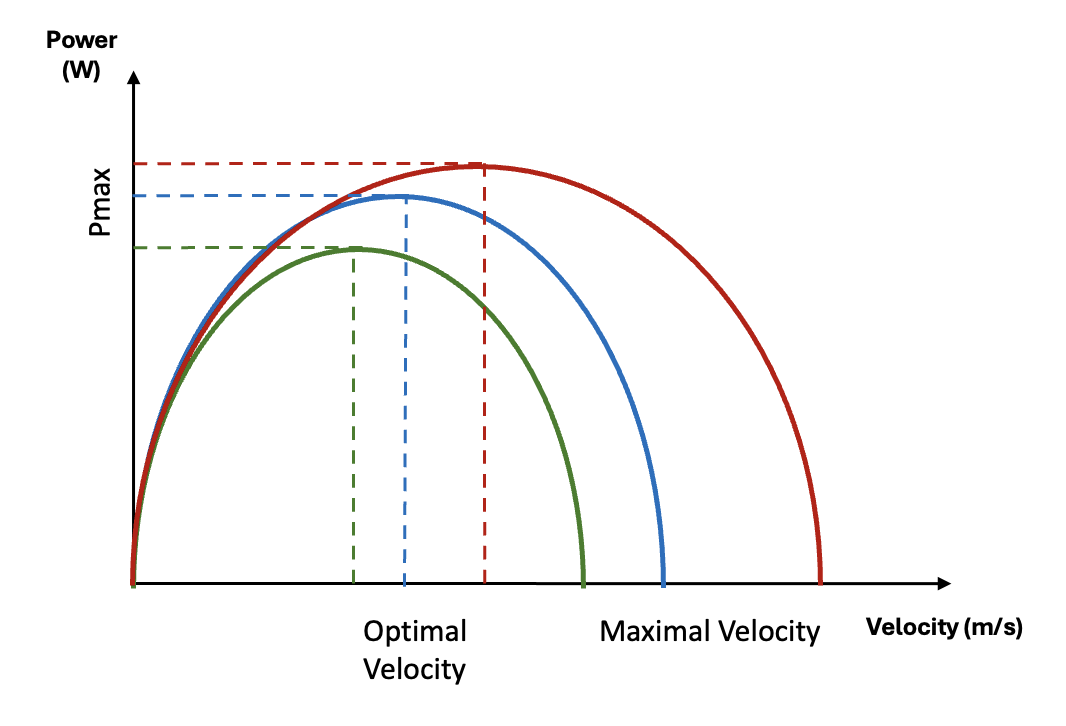 <p><span style="background-color: transparent;"><span>The shape of the Power-Velocity relationships varies across tasks and participants and are often described as </span><strong><span>parabolic</span></strong></span></p><ul><li><p><span style="background-color: transparent;"><span>Power-Velocity relationships vary across individuals in terms of:</span></span></p><ul><li><p><span style="background-color: transparent;"><strong><span>Maximal power </span></strong><span>– Pmax (y-coordinate of the apex)</span></span></p></li><li><p><span style="background-color: transparent;"><strong><span>Optimal velocity</span></strong><span> / velocity at maximal power (y-coordinate of the apex)</span></span></p></li><li><p><span style="background-color: transparent;"><strong><span>Maximal velocity</span></strong><span> when power equals zero</span></span></p></li></ul></li></ul><p>**<span style="background-color: transparent;"><span>Power = zero when there is no velocity and when you reach Vmax</span></span></p>