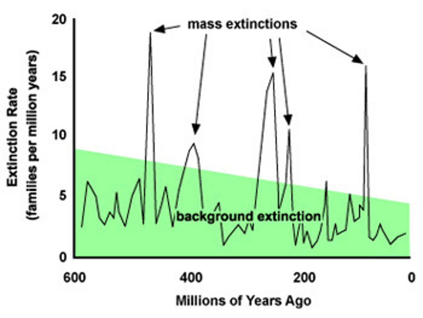 <p>A large extinction of species in a relatively short period of time</p>