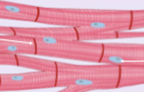 <p>What is this image?</p>