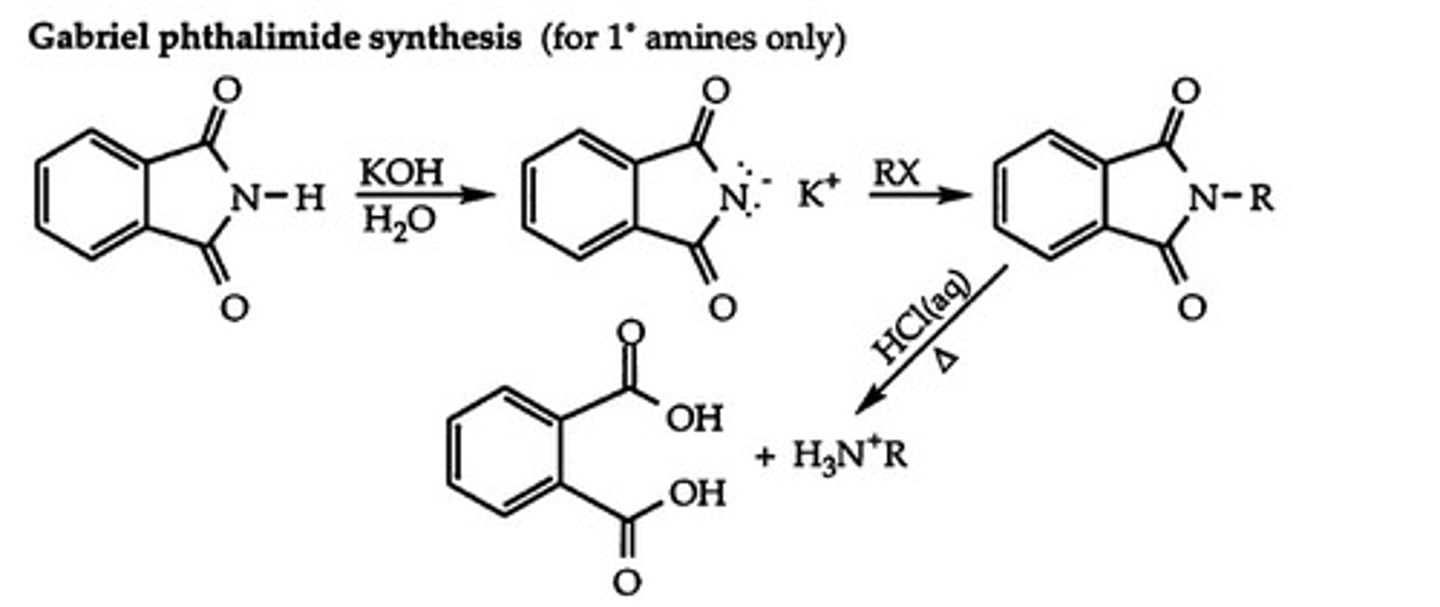 <p>converts primary alkyl halide into primary amine using phthalimide intermediate</p>