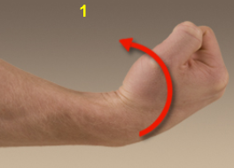 <p>What movement is this?</p>