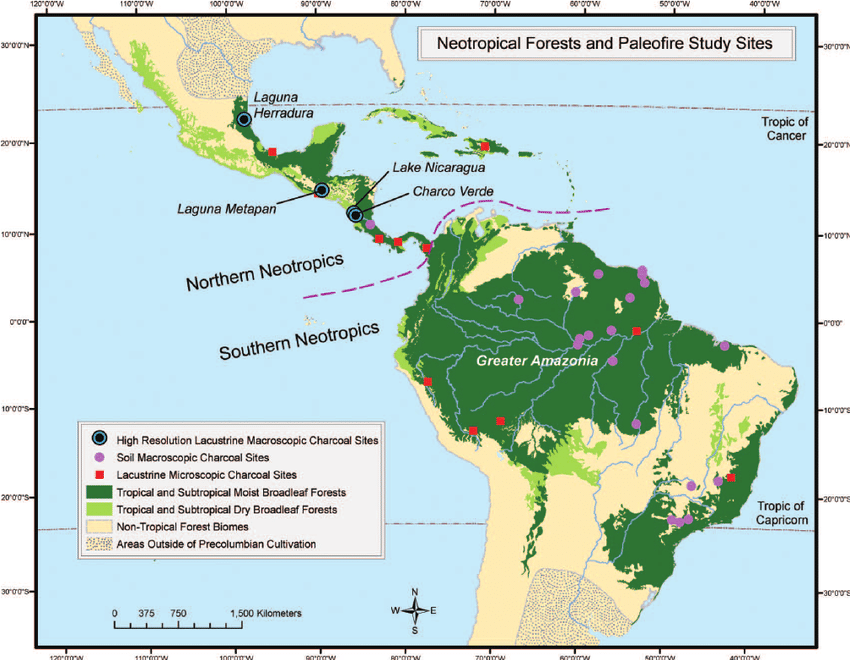 <p><span>one of Earth’s major biogeographic regions, covering the tropical areas of the Americas.</span></p>