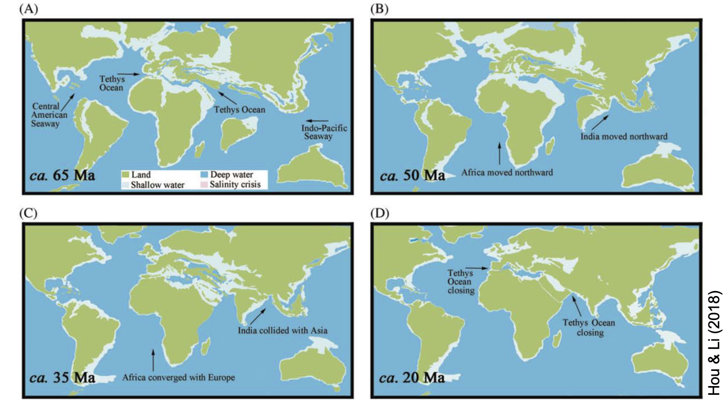 <p>Began in Cretaceous, ended in Miocene</p>
