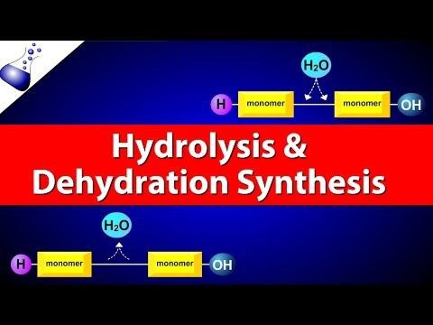 <p>The process where monomers are joined together through covalent bonds to make polymers, with water lost as a byproduct.</p>