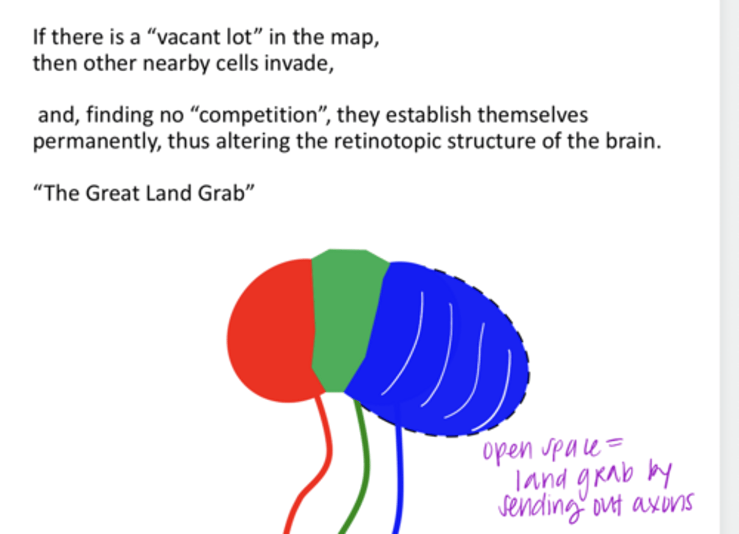 <p>If there is a "vacant lot" in the map, what happens?</p>