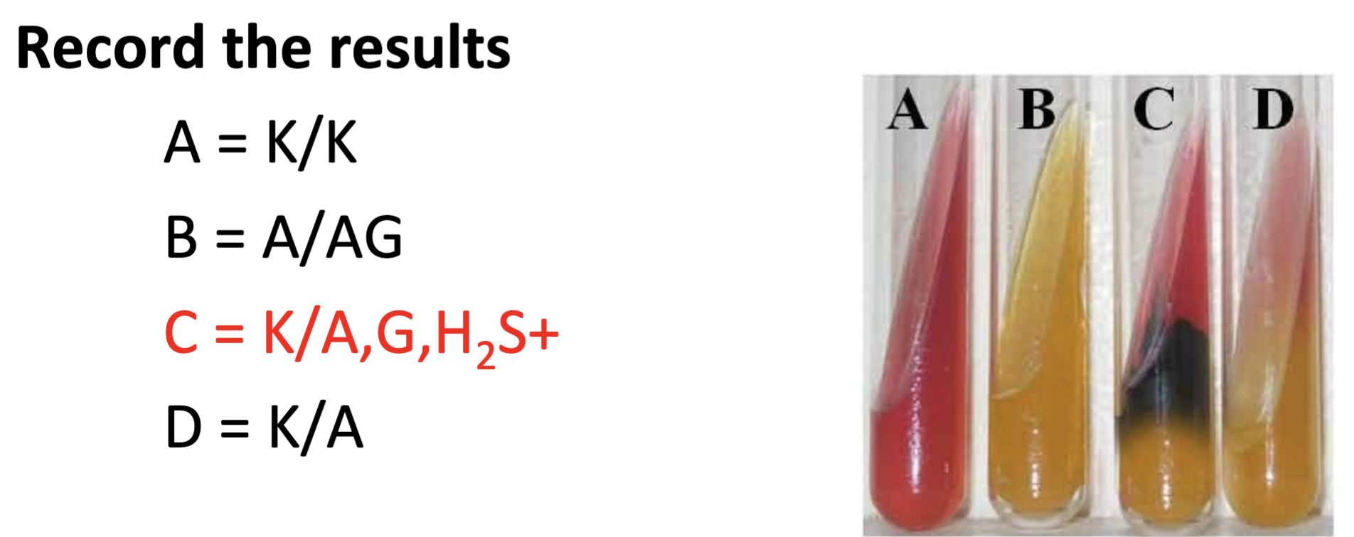 Ferric iron indicator

Color change (black = H2S)