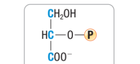 <p>What molecule is this?</p>
