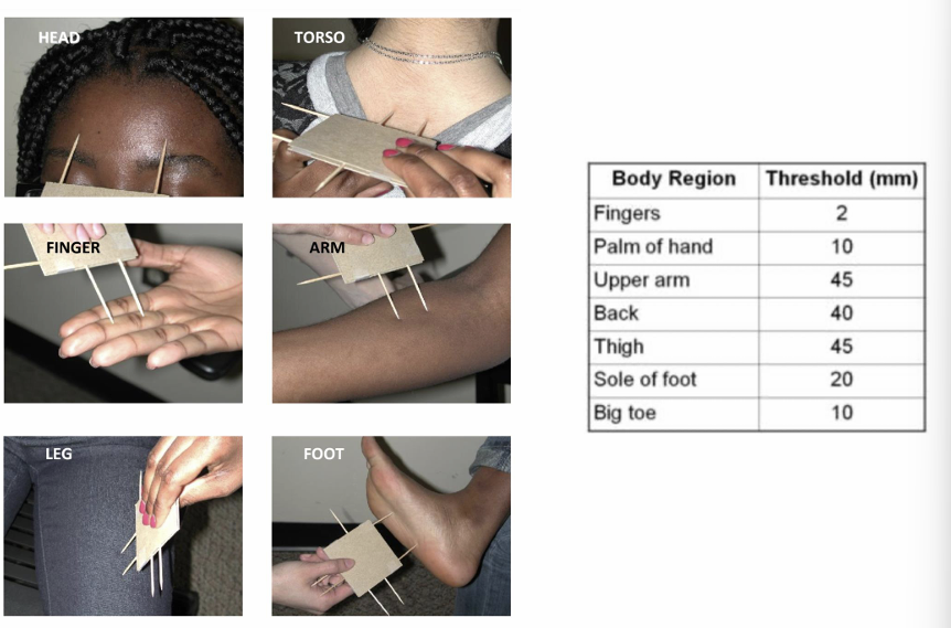 <p>if your skin is touched at 2 places simultaneously, can you tell whether there are one or 2 contact points?</p><ul><li><p>On your lips and fingertips you can distinguish points 2–4 mm apart, but on your calves you need 40 mm</p></li></ul><p></p>
