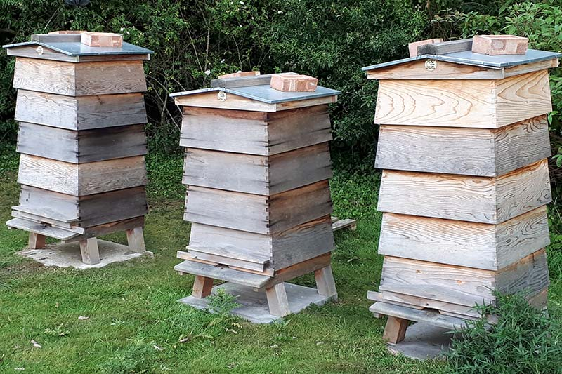 <ul><li><p><span>There is controlled use of pesticides (neonicotinoids) that harm bees and other pollinators</span></p><p></p></li><li><p><span>There are introductions of bee hives to flowering crops.</span></p></li></ul><p></p>