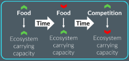 <p>food </p><p>competition</p><p>predation</p><p>disease</p><p>carrying capacity </p><p>increases</p><p>more</p><p>compete</p><p>competitiom</p><p>reducing</p><p>decreases</p>