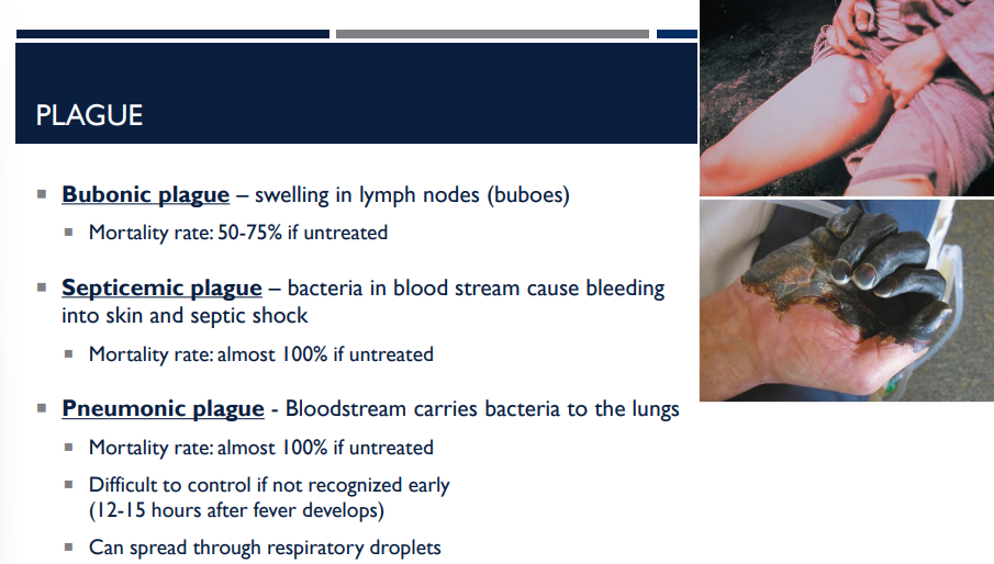 <p>There are many different types of plague, including bubonic plague, septicemic plague, and pneumonic plague. Which two has a mortality rate of almost 100% if left untreated?</p>