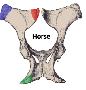 <p>what is the red </p>