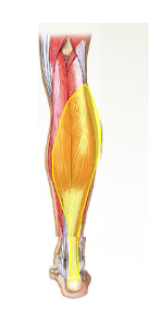 <p>What is this? </p>