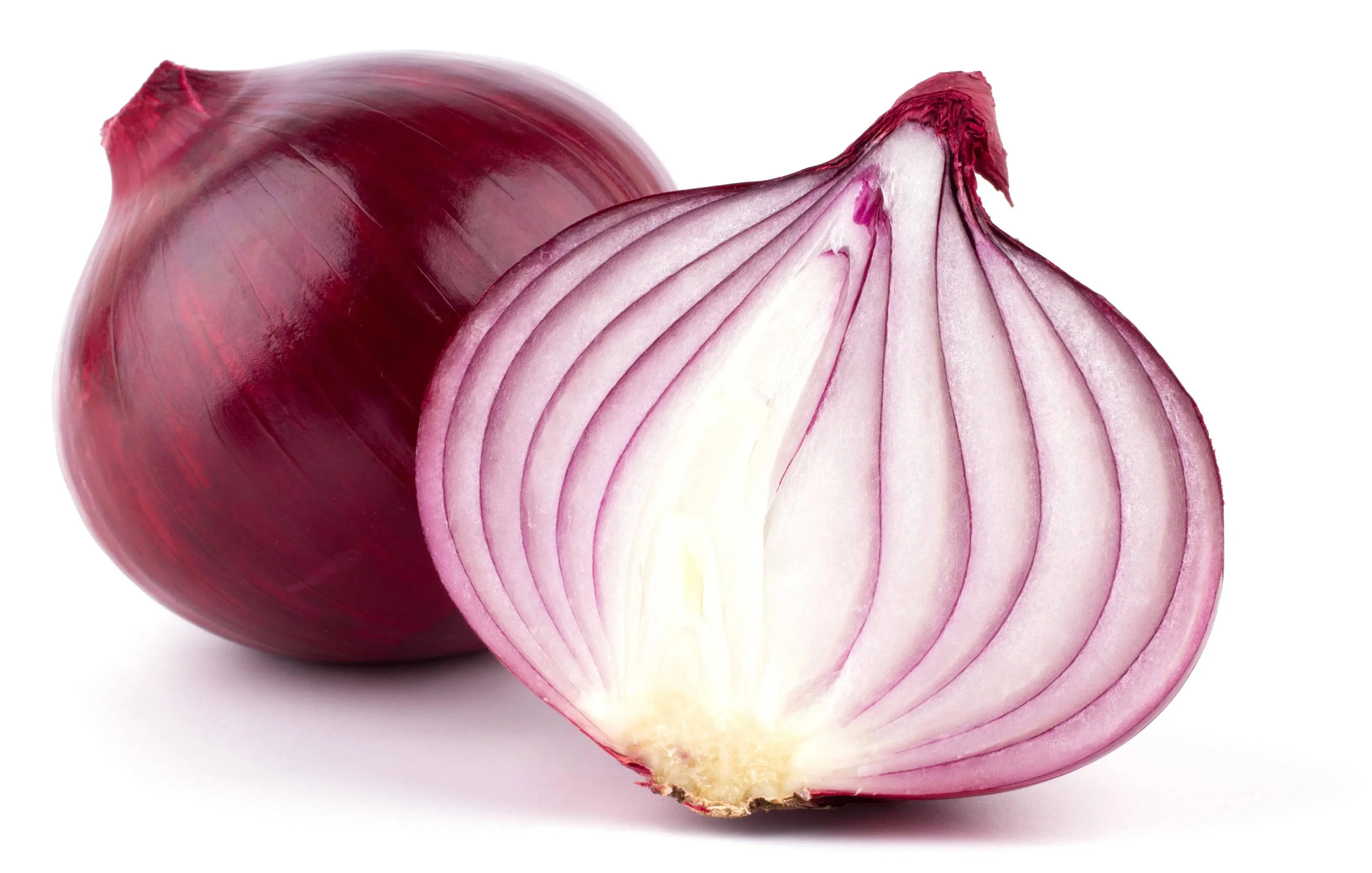 <p>Cebolla</p>