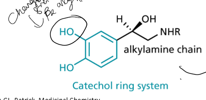 <p>catechol ring system, with alkylamine chain</p>