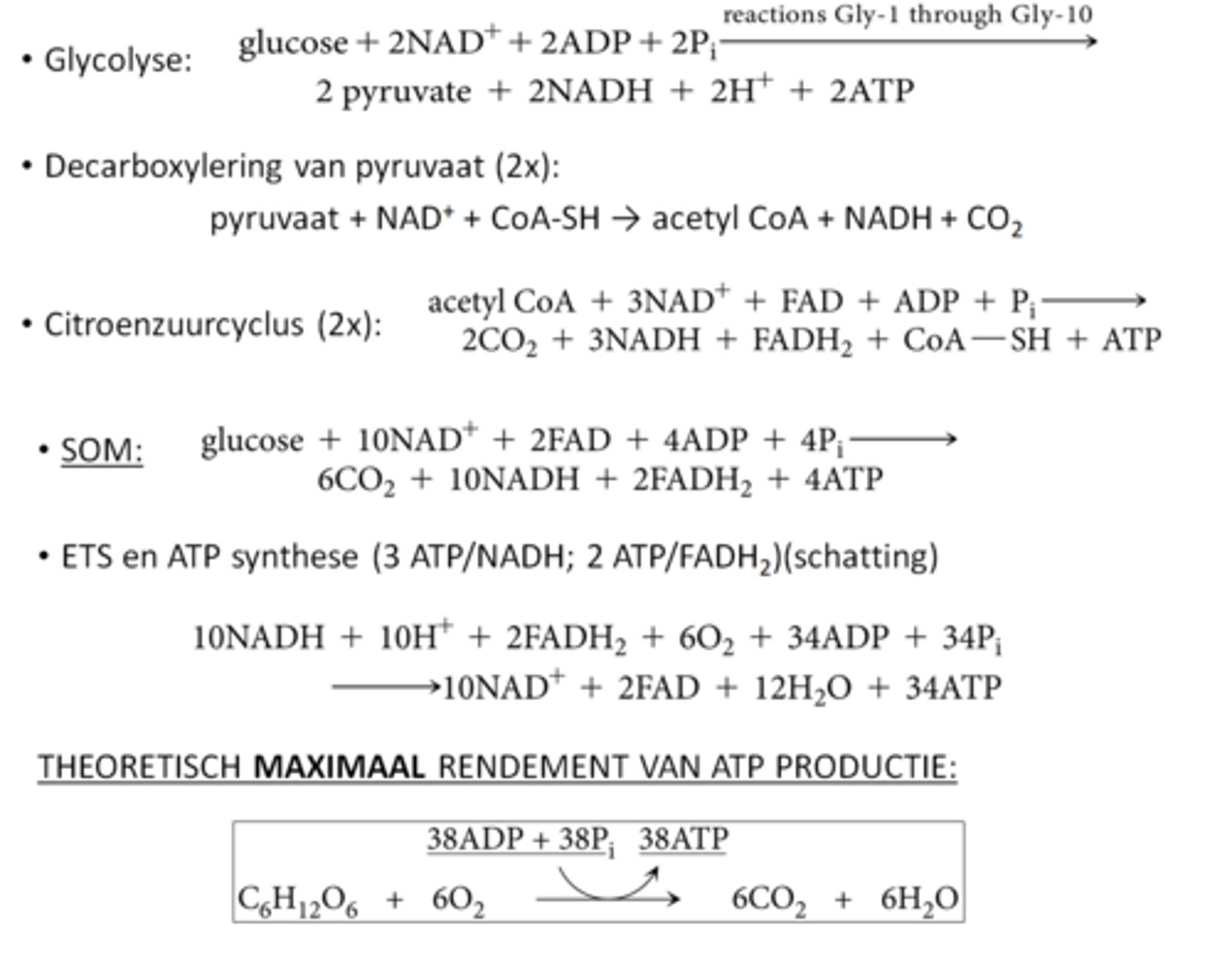<p>4 tijdens de glycolyse en CAC, 34 bij ETS en ATP synthese</p><p>reele waarde: 32 ATP, 30ATP als je de glycerol fosfaatshuttle gebruikt</p><p>∆G°' voor glucose -> CO2 + H2O is -686 kcal/mol</p><p>ATP hydrolyse onder cellulaire condities = -10 to -14 kcal/mol</p><p>=>totaal: 360–380 kcal (300-320 kcal)</p><p>=>efficiëntie van 52–55% (44-47%) (andere energie gaat naar lichaamswarmte)</p><p>Dit is heel efficient!</p>