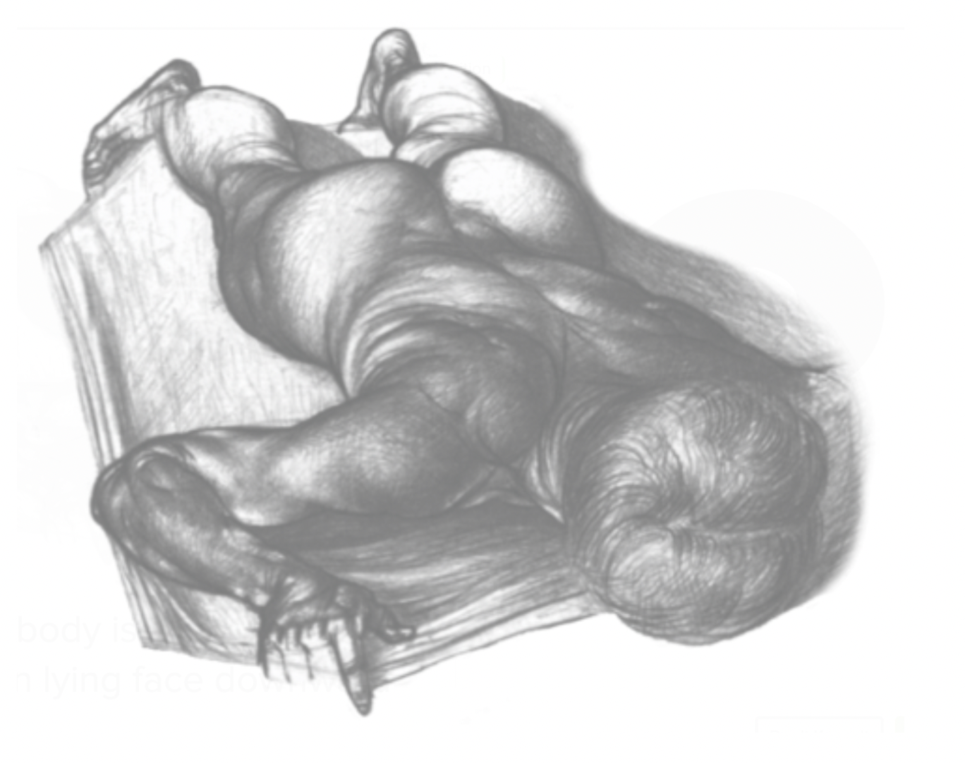 <p>When the body is lying facing downwards </p>