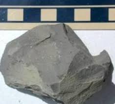 <p>-sedimentary</p><p>-clastic</p><p>-extremely fine grained</p><p>-clay minerals</p><p>-forms in quiet, low-energy environments like tidal flats, lakes, and the deep sea, where clay particles accumulate and harden over time</p><p>uses: construction</p>