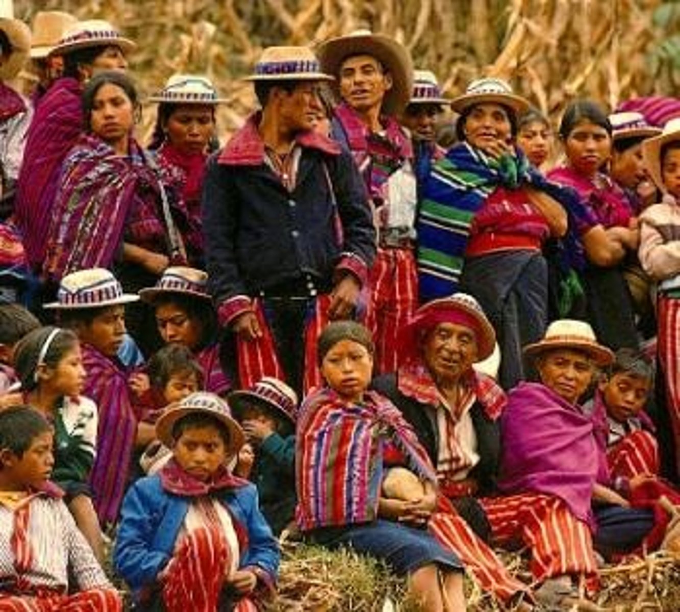 <p>indigenous</p>