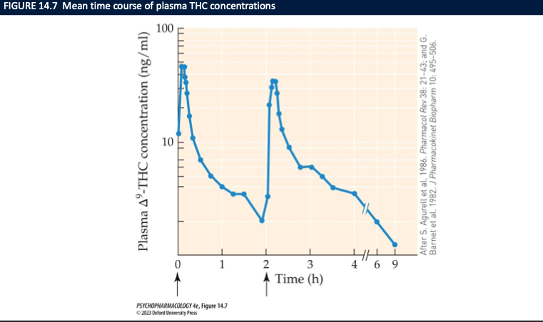 <ul><li><p>rapidly absorbed in blood supply of the lungs</p></li><li><p>v. fat-soluble → easily cross BBB</p><ul><li><p>gone from brain within a few hours as it accumulates in fatty tissue</p></li></ul></li><li><p>metabolize din liver by CYP450 system → metabolites excreted in urine/feces </p><ul><li><p>complete elimination is slow bc THC persists in fat tissue (20-30 hours half life_</p></li><li><p>THC-COOH can be detected in urine up to 2 weeks </p></li></ul></li></ul><p></p>