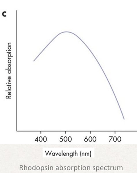 <p>How do we plot a graph for the transmission experiment? (y vs. x)</p>