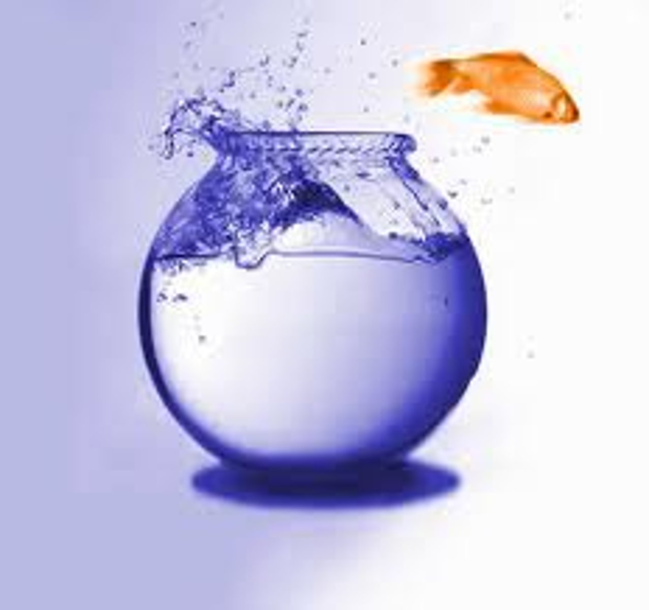 <p>(idiom): cá mắc cạn/ không thoải mái</p>