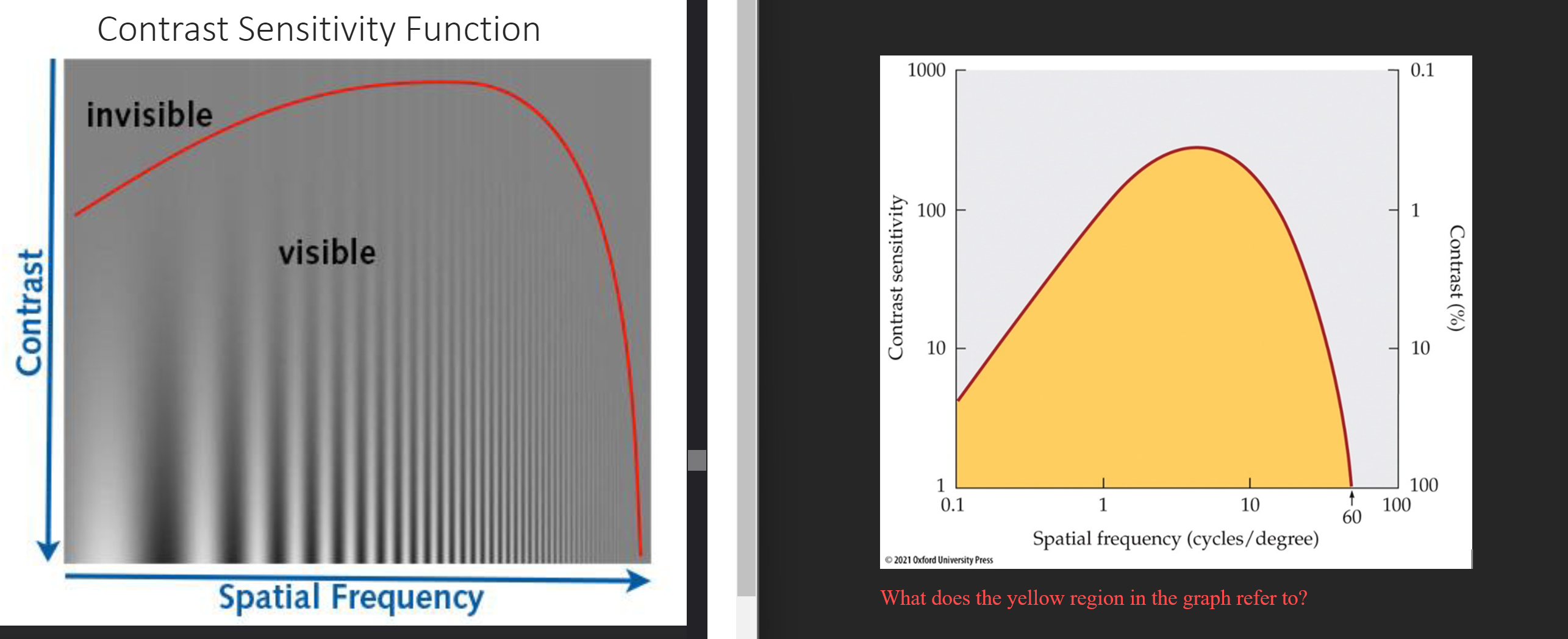 <p>Visible Region</p><p>Contrast Sensitivity Function</p>