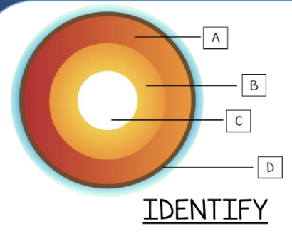 <p>Identify the layer labeled C.</p>