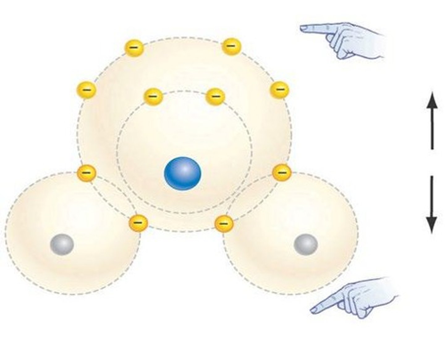<p>One oxygen atom and two hydrogen atoms, with a bond angle of 104.5°.</p>