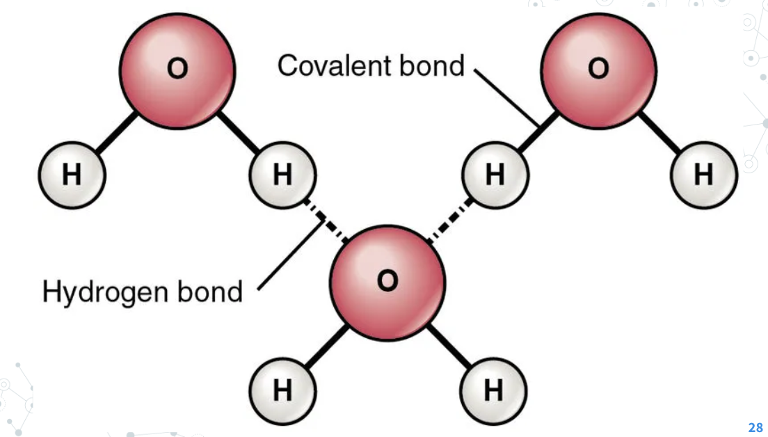 <p>An <strong>Intermolecular force</strong> and these bonds are weak<strong> </strong>compared to covalent &amp; ionic bonds (<span>It bonds water molecules together)</span></p>