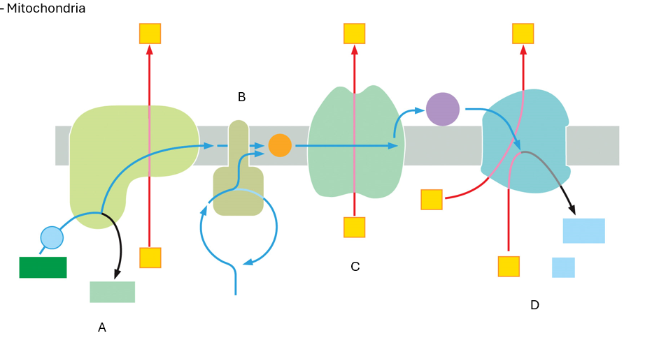 <p>What is C?</p>