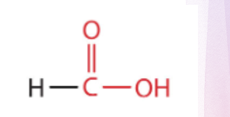<p>what is the structure?</p>