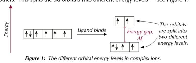 <p>normally the 3d orbitals of transition metal ions have the same energy</p>