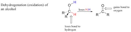 <p>A chemical reaction where a substance loses electrons, often involving the addition of oxygen or the removal of hydrogen. Oxidation is a key process in combustion and respiration. </p>