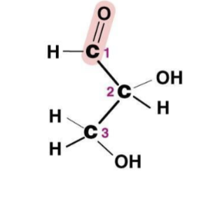 <p>Carbonyl group at the end of the carbon chain</p>