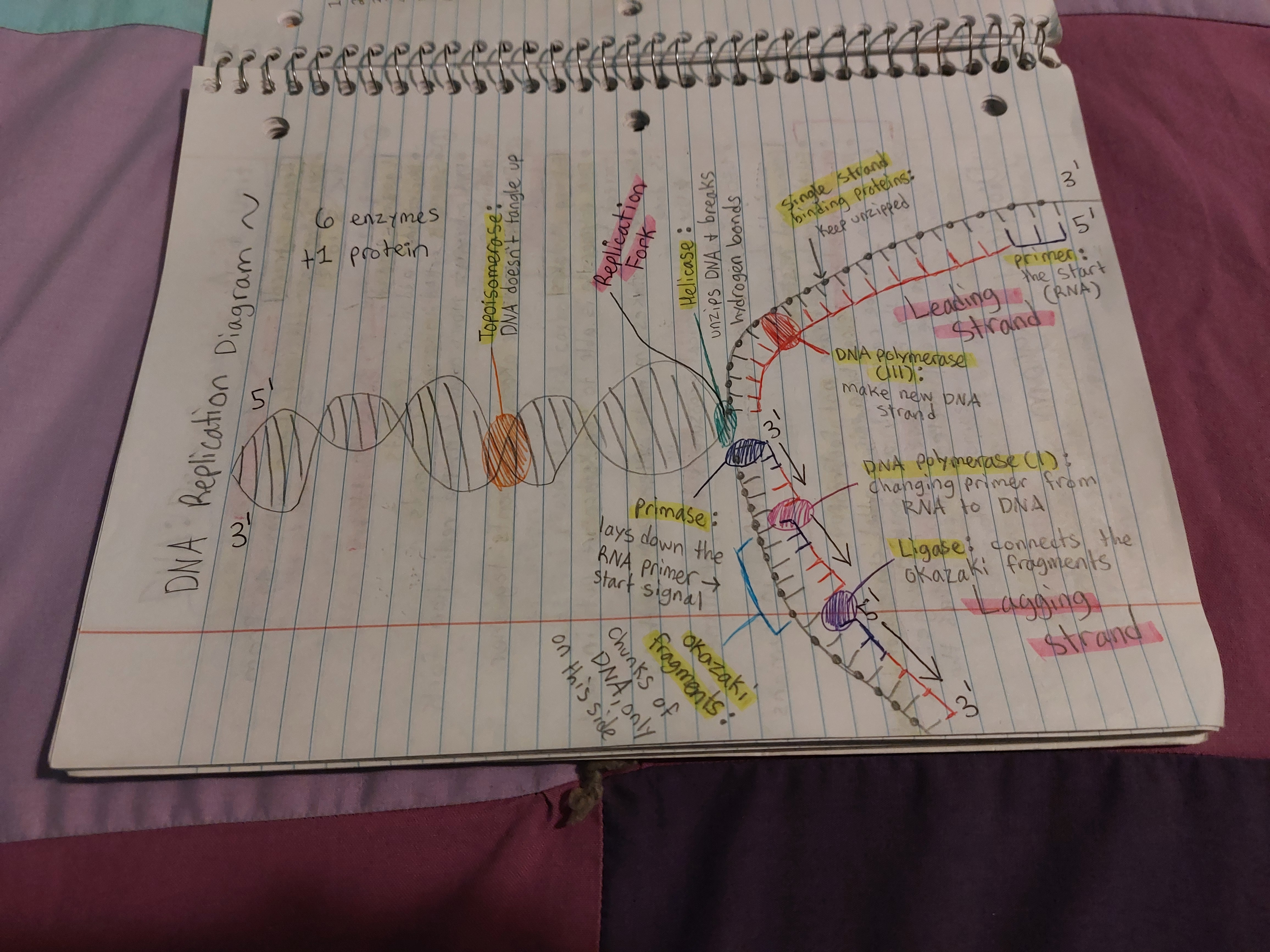 knowt flashcard image