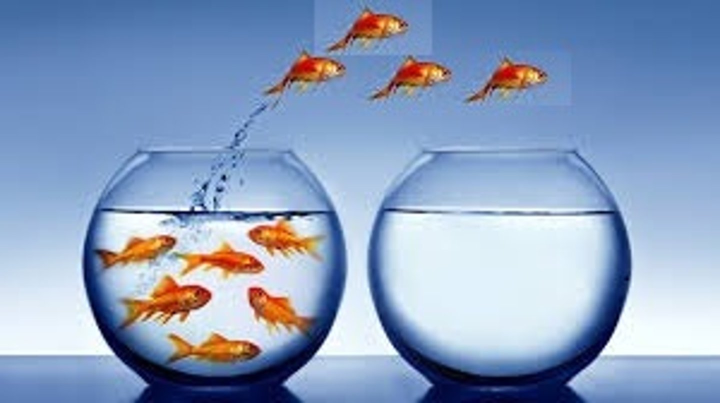 <p>they escaped (PAST tense)</p>